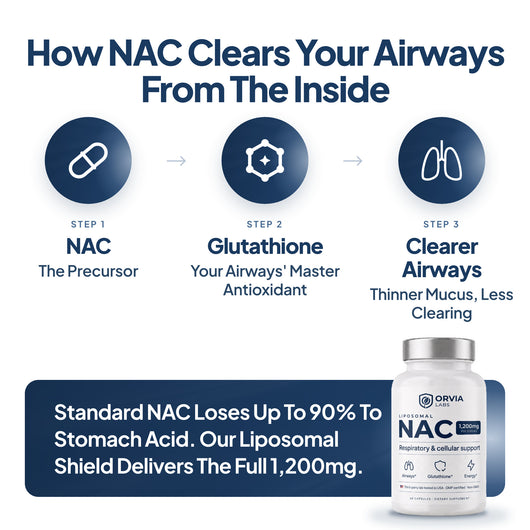 Liposomal NAC - Respiratory & Cellular Support