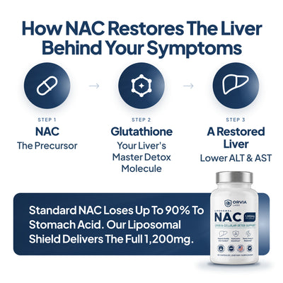 Liposomal NAC │ Maximum Potency Formula