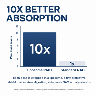 Liposomal NAC │ Maximum Potency Formula